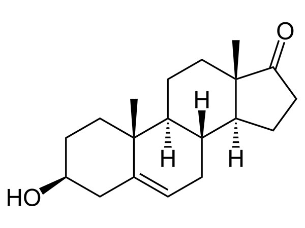 DHEA (Прастерон)